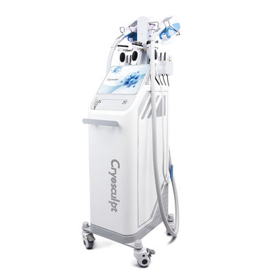 comprare Macchina per dimagrire dimagrante per il corpo con congelamento dei grassi a criolipolisi a 360° fabbricazione online